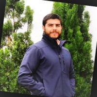 Alberto Debernardi Wolf