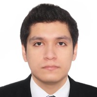 Bryan Gustavo Flores Beltrán