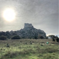 Francis Da Costa Cruz