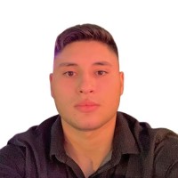 Aurélio mera