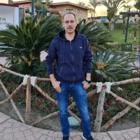 Alaa Elshehaby