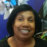 Stewart Paulette