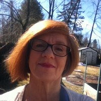cynthia wallach