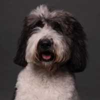 Jean Valjean