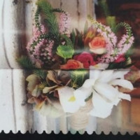 Wedding Book Confin