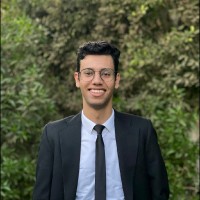 Mohamed Ibrahim