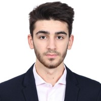 Pedro Henrique Curi Amui