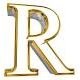 Richu Tom