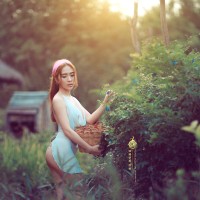 Nghiem Ho