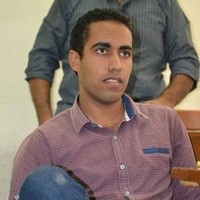 Mohamed Gaber Fahmy