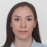 ayşe akçan