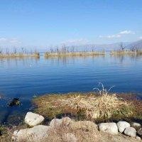 荆武星