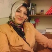AYŞE SÜMEYYE DEMİREL