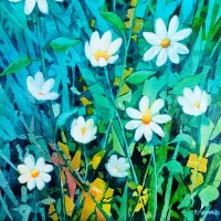 Rebecca Maynard