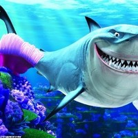 Shark Diver
