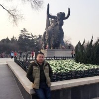 王亭佳