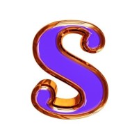 Sandhya S