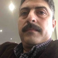 mahmood talaat