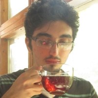 Mehran Akhavan