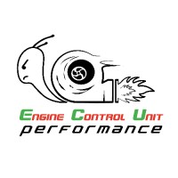 Engine Control Unit Performance