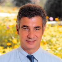 Curt Steinzor