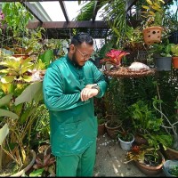 Raja Iman Muhaimin Raja Ismail