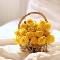 Eman Alsaif