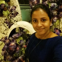 chathu wickramasingha