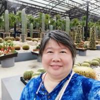 Urai Somwangsirisakul