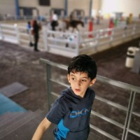 Mohammed hassan