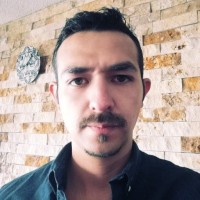 Alejandro Vargas N.