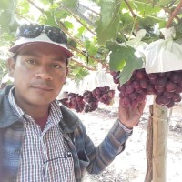 Wilson Medina Rondoy
