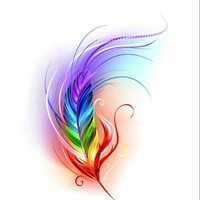 Sameer Sarak