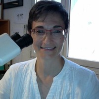 Frédérique Degorce-Rubiales