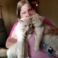 Brenda Wallace