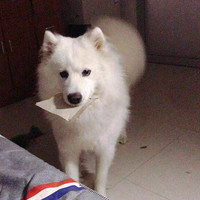 万棚华