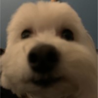 Sam Sam