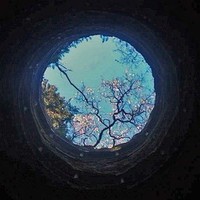 邵奇宝