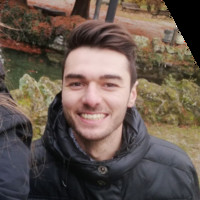 Alessandro Luciani