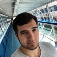 Dmitry Skopov