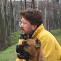 Fabio Belleri