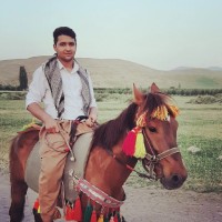 Shayan Mohamadzade