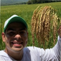 Daniel Segrera
