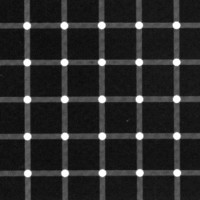 Michael Steinkellner