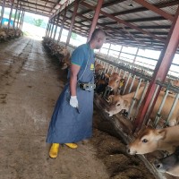 Audu Okwu