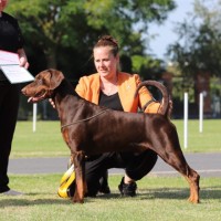 Claire Bishop