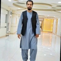 Hamed Amini