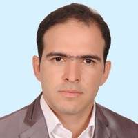 Saeid Alipour