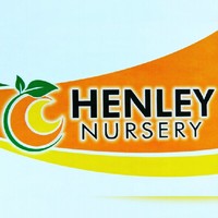 Henley Nursery