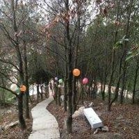 张景锋